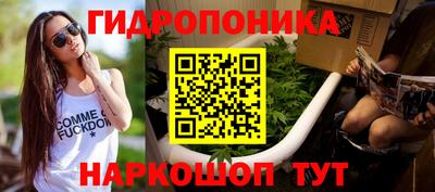 синтетический гашиш Кингисепп