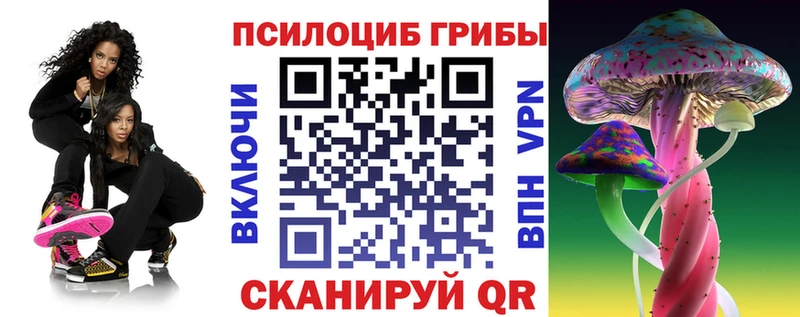 Псилоцибиновые грибы Cubensis  купить наркоту  Балтийск 